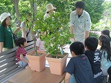 f0167635_5155674.jpg