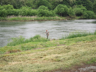 d0156438_8532050.jpg