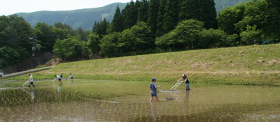 f0016038_1491622.jpg