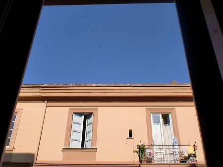 d0092439_2010384.jpg