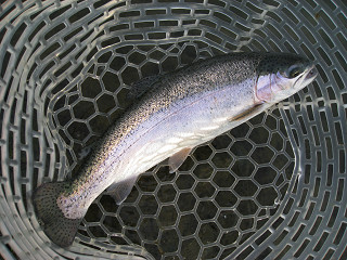 f0065341_0131076.jpg