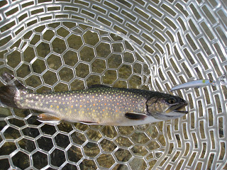 f0065341_06010.jpg