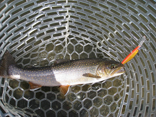 f0065341_073088.jpg