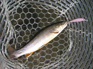 f0065341_07508.jpg