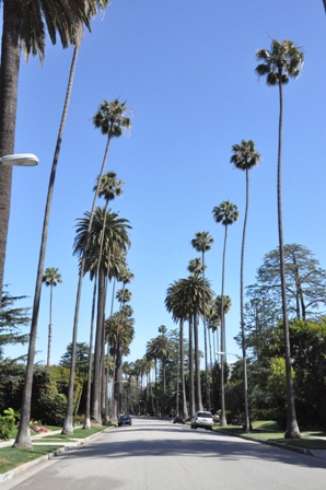 b0179447_3395693.jpg