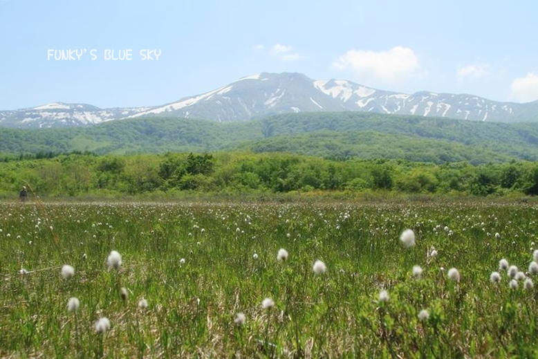 c0145250_20144343.jpg