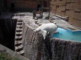 e0092362_095530.jpg