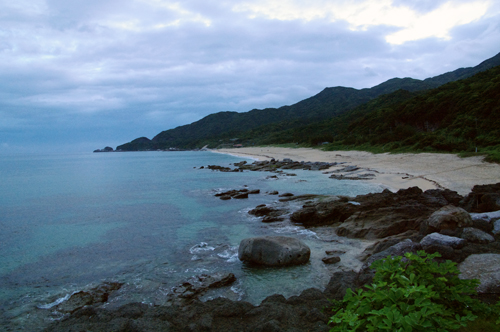 c0048265_19551339.jpg