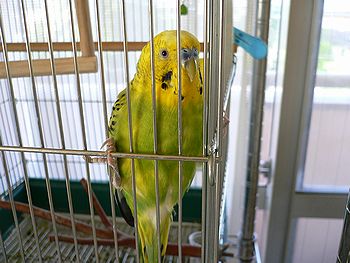 f0196665_0152547.jpg