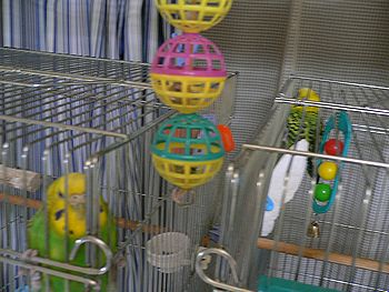 f0196665_0184462.jpg