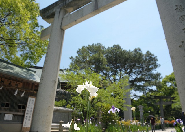 b0131167_1336425.jpg