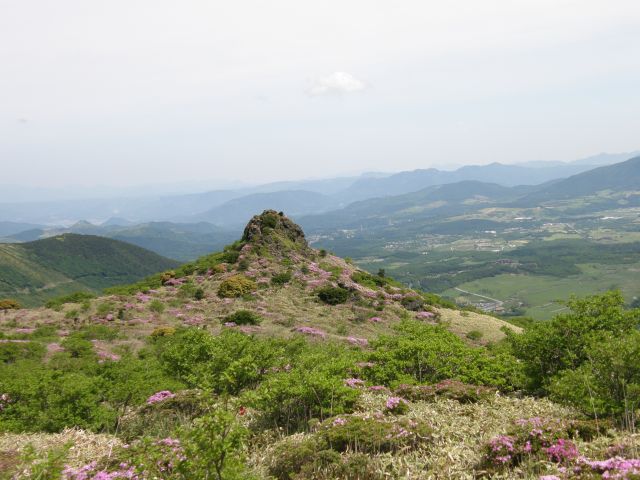 c0042869_15165660.jpg