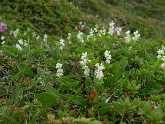 c0042869_15191549.jpg