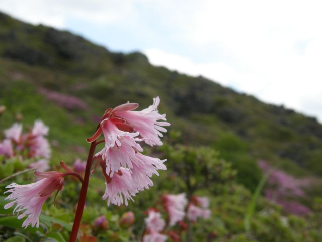 c0042869_15202518.jpg