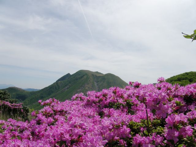 c0042869_1533243.jpg