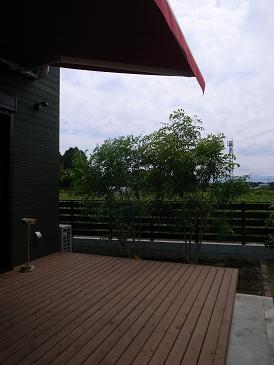 d0132673_17542166.jpg