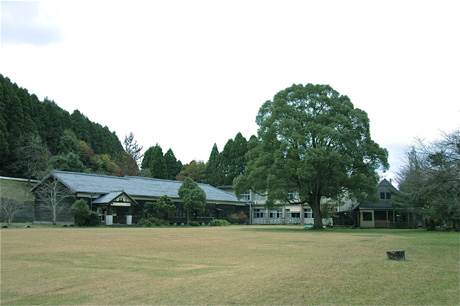 f0173984_12412189.jpg