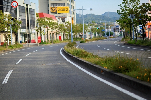 e0190885_183258100.jpg