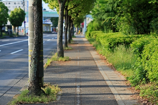 e0190885_18351084.jpg