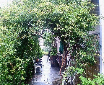 c0014187_15202157.jpg