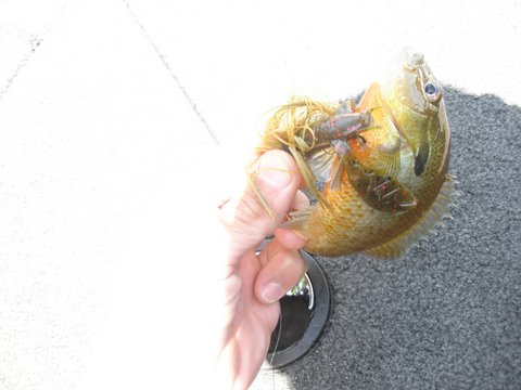 f0024887_6355440.jpg