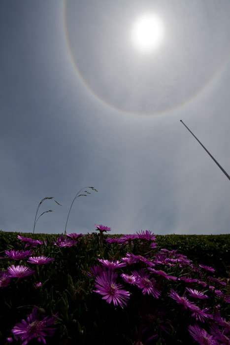 c0193289_73369.jpg