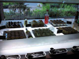 c0032392_20473231.jpg