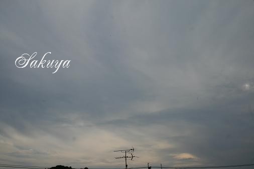 e0122194_19193396.jpg