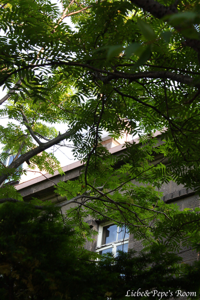 f0001895_8304432.jpg