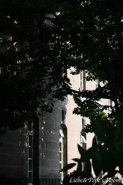 f0001895_8323383.jpg