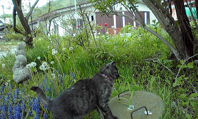 c0206596_14472035.jpg
