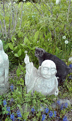 c0206596_1449516.jpg
