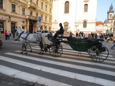 a0159697_23441492.jpg