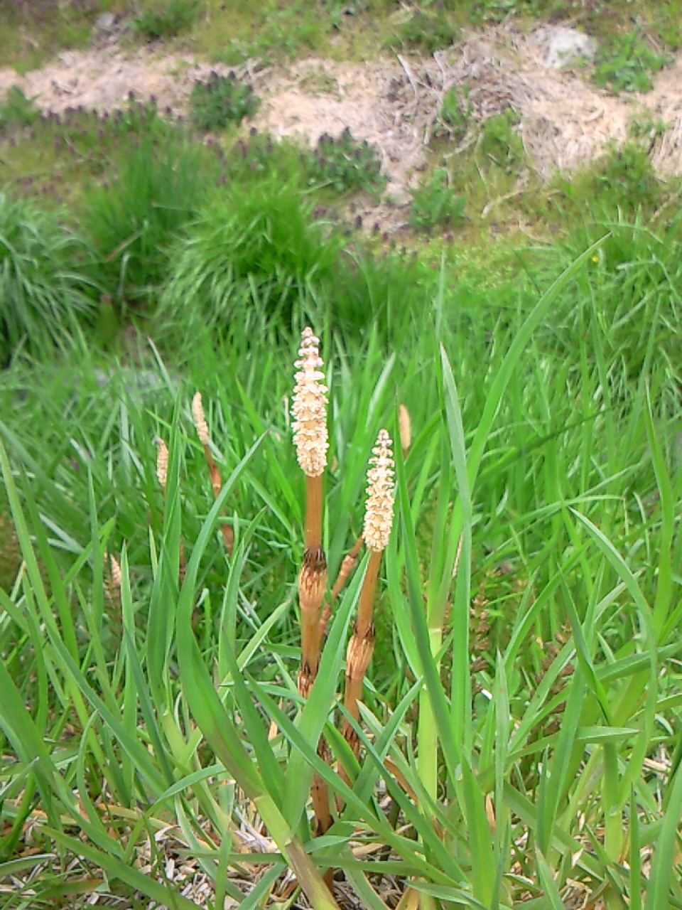 b0075797_237531.jpg