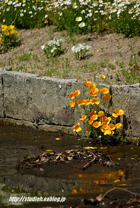 f0008102_1035579.jpg