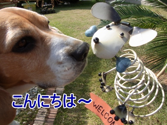 c0205806_20524596.jpg