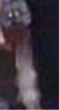 e0103408_12193421.gif