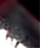 e0103408_1219954.gif