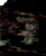 e0103408_12282659.gif