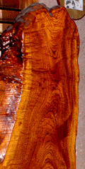 e0103408_12295052.gif