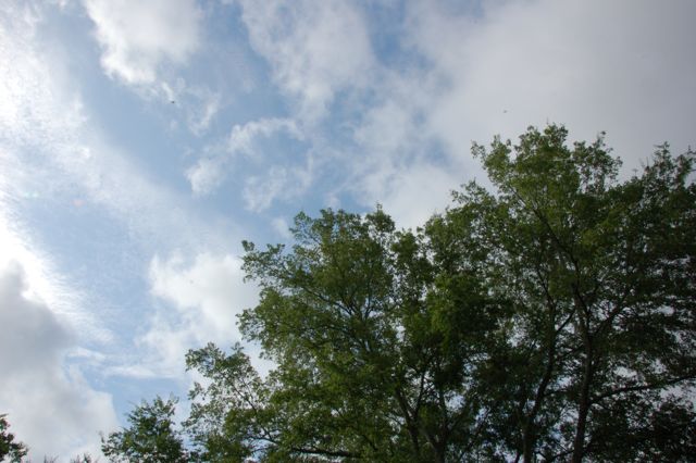 f0227709_2211975.jpg
