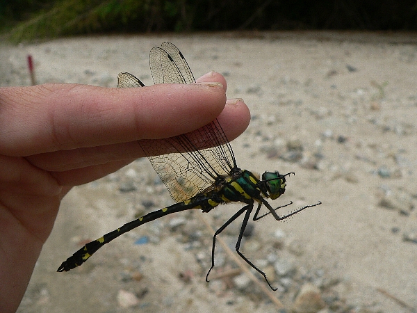 e0002314_216151.jpg