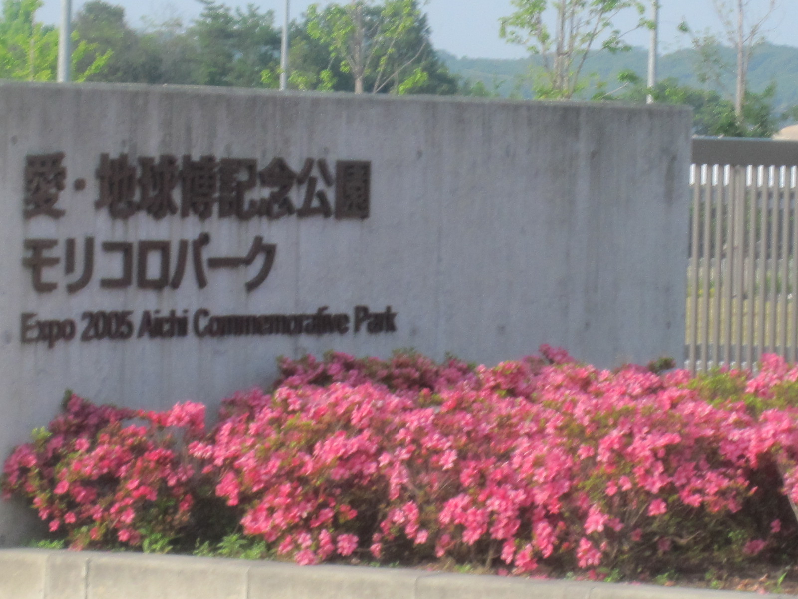 c0225420_212687.jpg