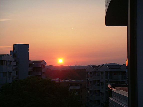 b0068423_1247599.jpg