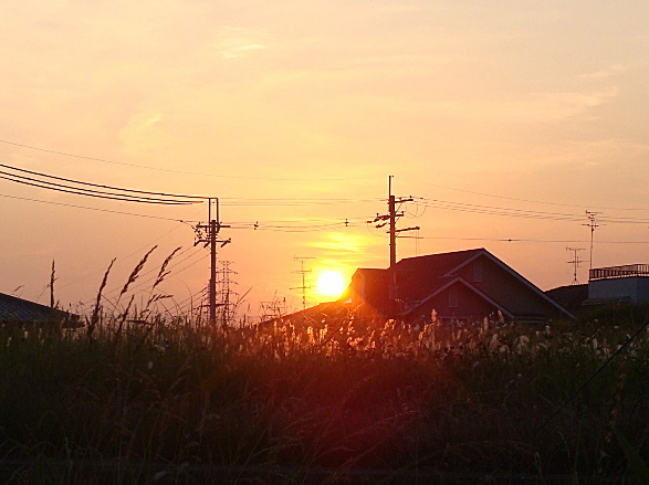 b0068423_13154667.jpg