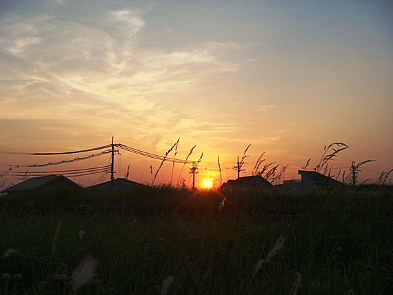 b0068423_136286.jpg