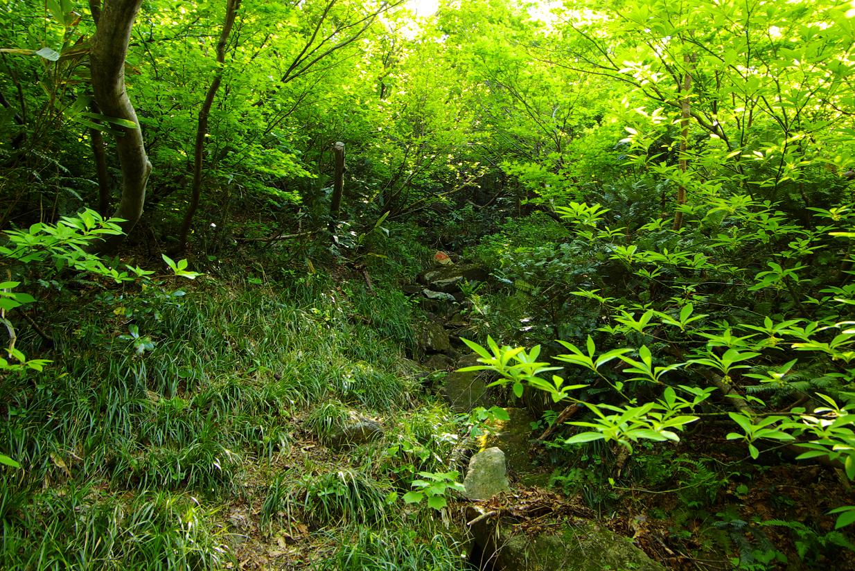 b0062024_6594829.jpg