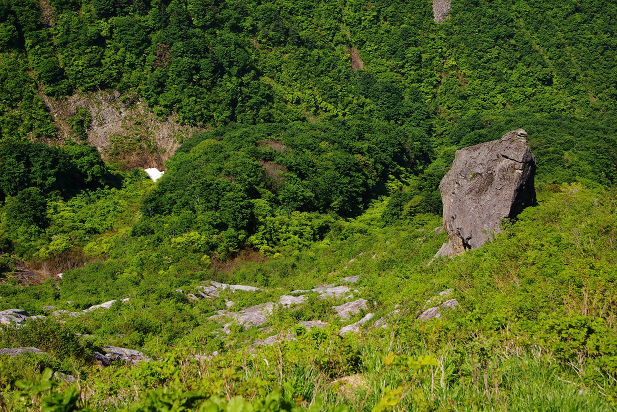 b0062024_7145970.jpg
