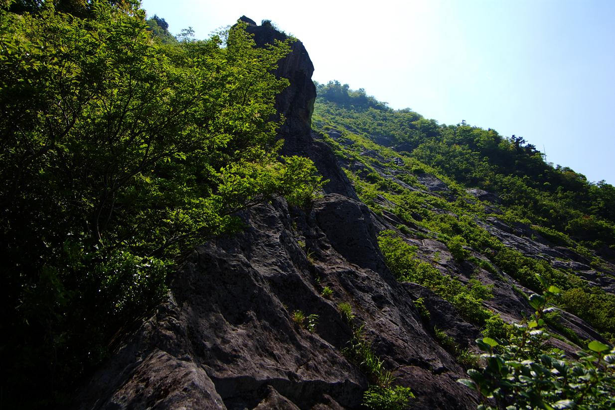b0062024_725744.jpg