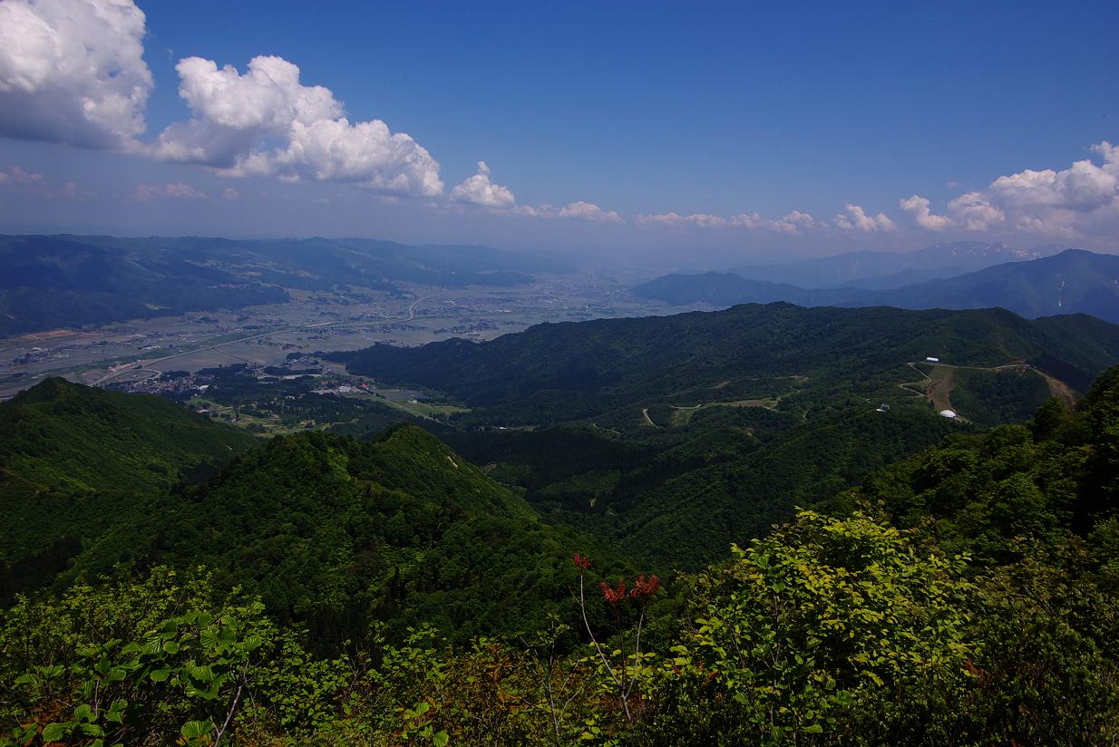 b0062024_7273350.jpg